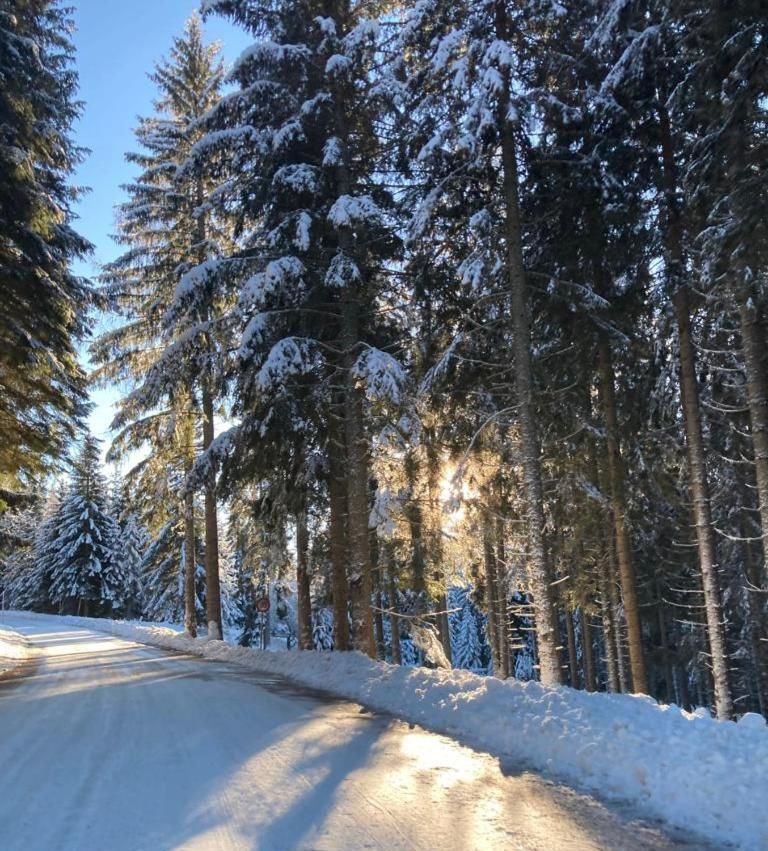 Familienapartment Sonne Und Schnee Kanzelhohe Экстерьер фото